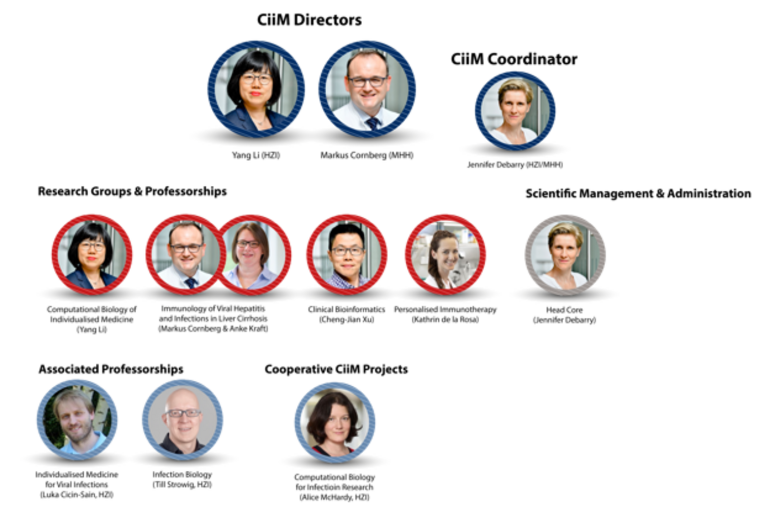 CiiM team organisation