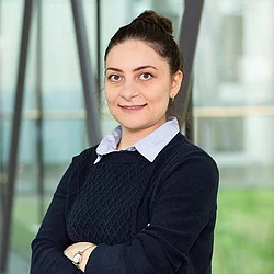 Dr. Nasim Safaei