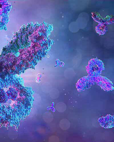 Personalisierte Immuntherapie