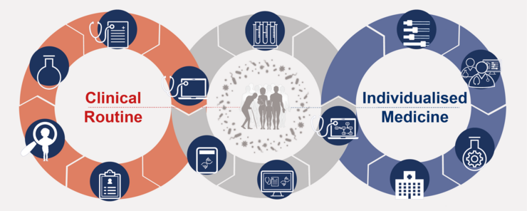 The planned workflow of the CiiM.