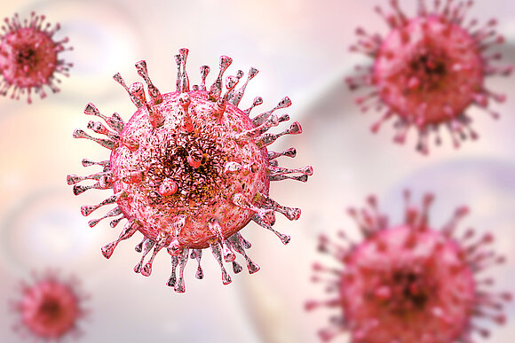 3D illustration of the cytomegalovirus