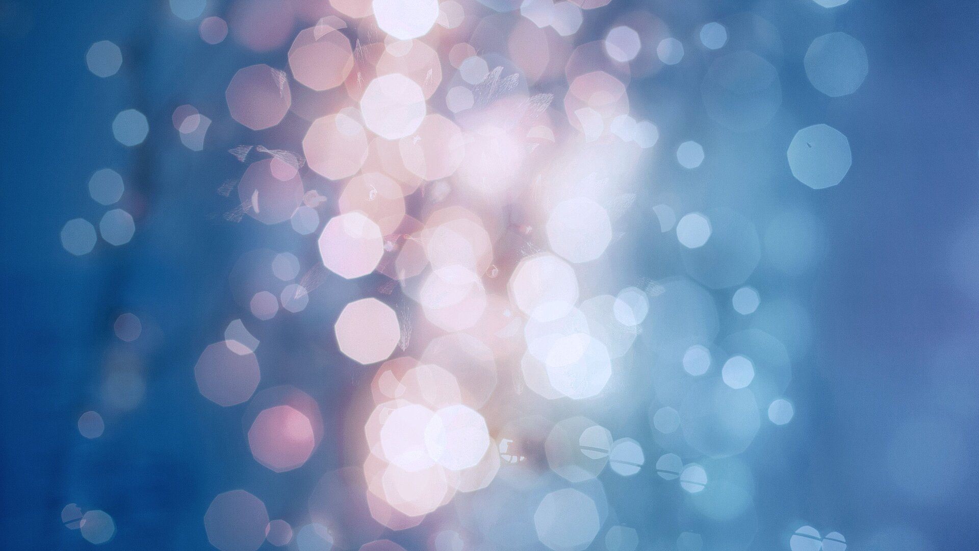 Header Kontakt