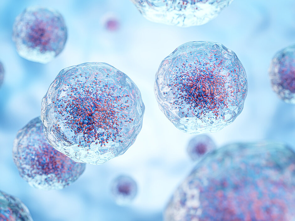 Illustration of cells with transparent membranes and structures inside the cells